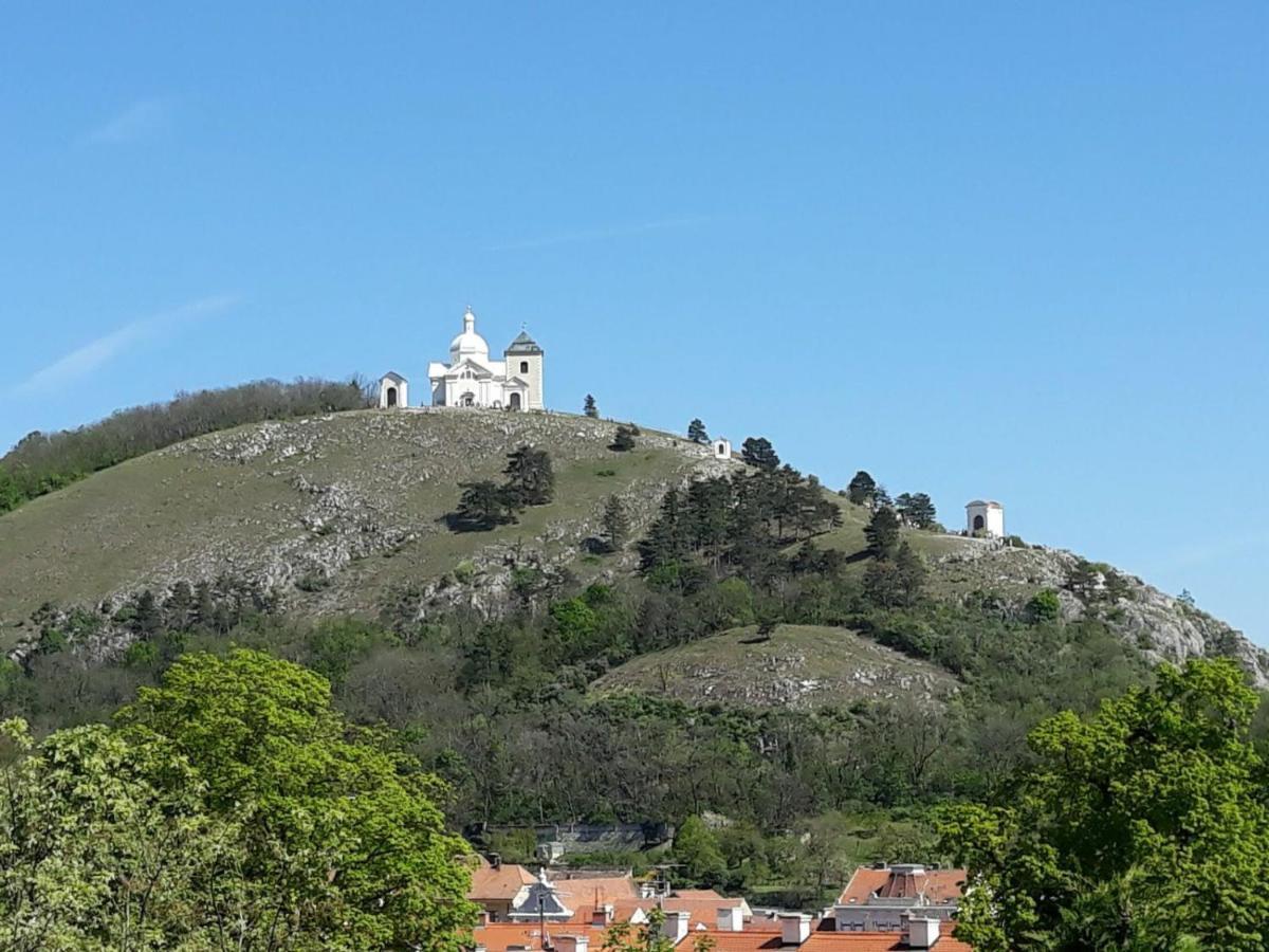 Ubytovani Na Spaciru Mikulov Esterno foto